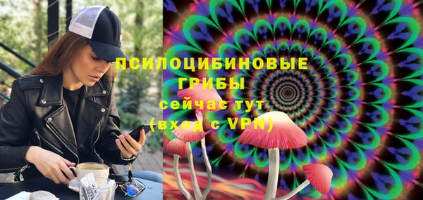 первитин Богородицк
