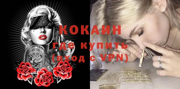 стаф Белоозёрский