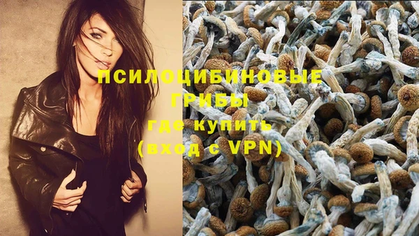первитин Богородицк