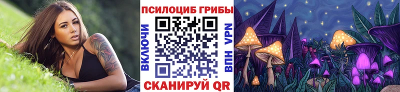 где можно купить наркотик  Выкса  Галлюциногенные грибы прущие грибы 