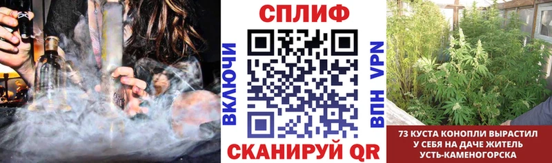Каннабис индика  магазин  наркотиков  Выкса 